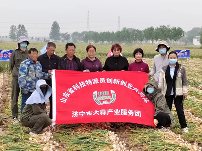 科技賦能“金蒜盤” 山東科技特派員服務(wù)團(tuán)赴金鄉(xiāng)開(kāi)展大蒜產(chǎn)業(yè)調(diào)研與技術(shù)服務(wù)